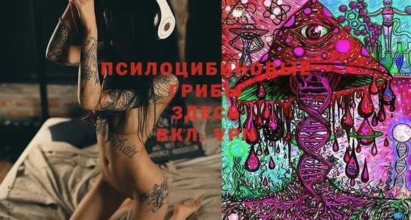 меф Алексин