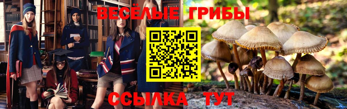 Псилоцибиновые грибы ЛСД Тара