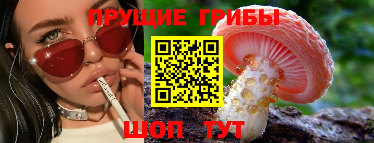 Тара  Галлюциногенные грибы Cubensis  Вход с VPN 
