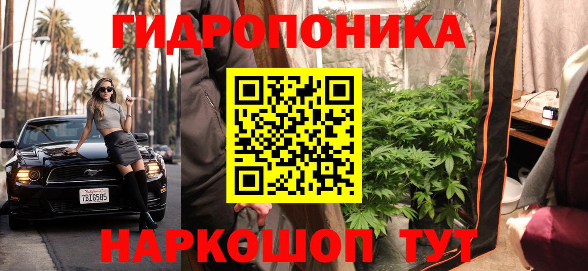 Каннабис ГИДРОПОН  Вход с VPN  МАРИХУАНА конопля  Тара 
